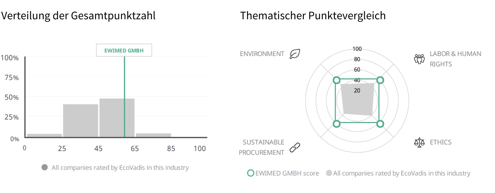 Visuelle Darstellung ecovadis des Ergebnisses f&uuml;r die Bewertung im Jahr 2024